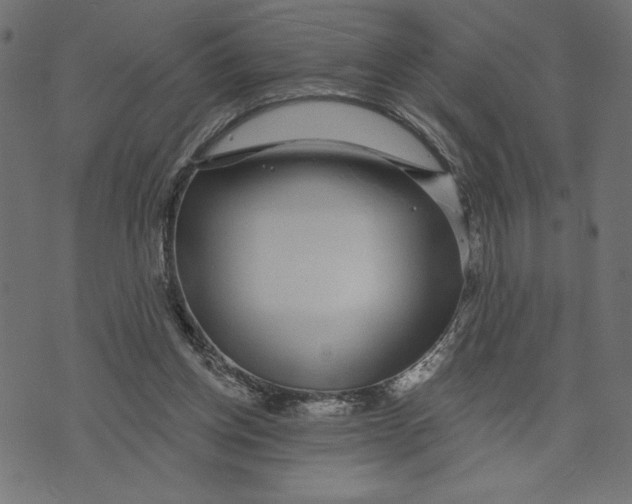 X0000072940158200608181350