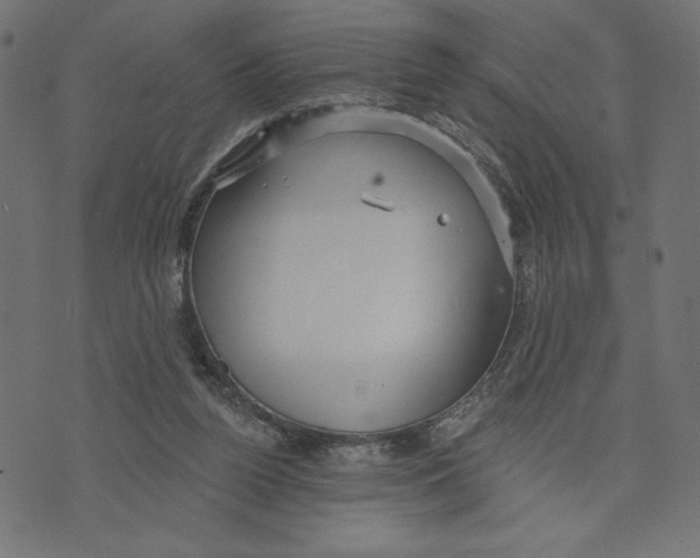 X0000072940160200608181350