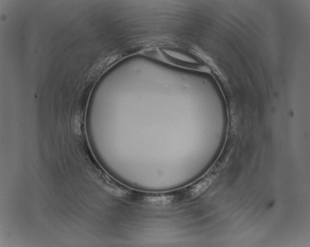 X0000072940161200608181350