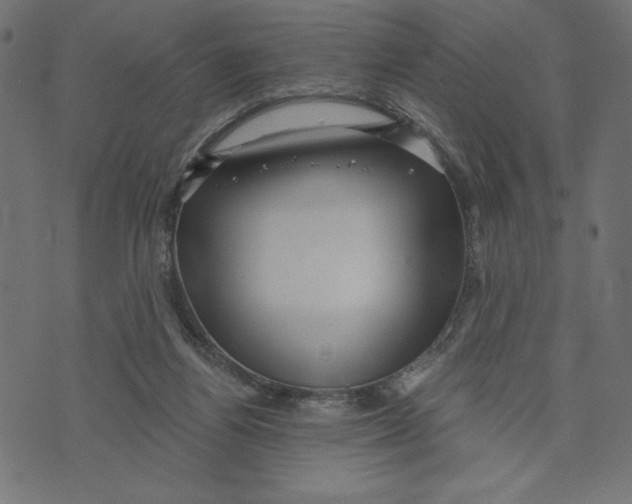 X0000072940164200608181350