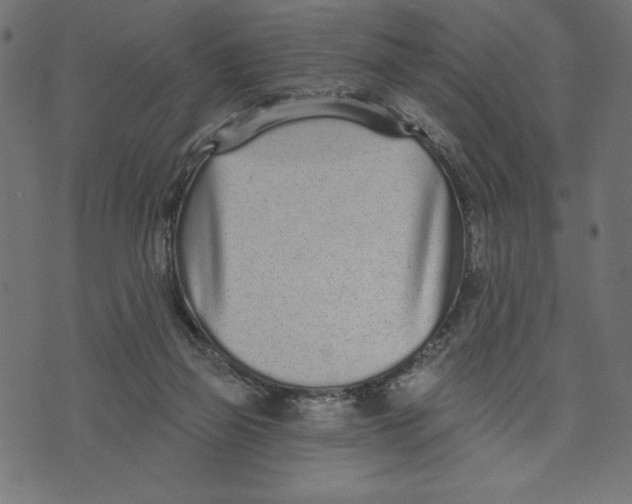 X0000072940165200608181350