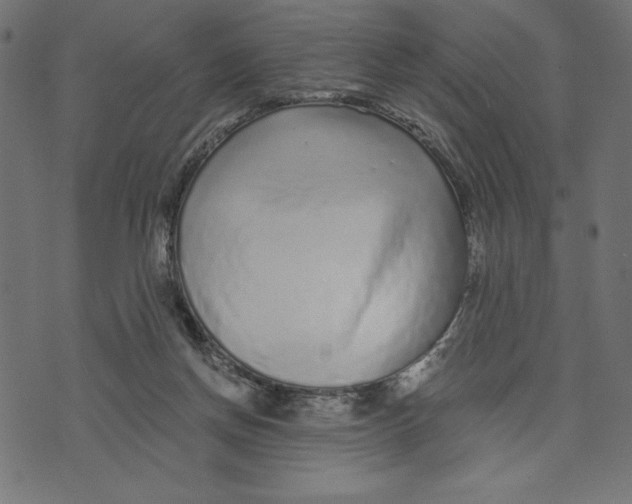 X0000072940166200608181350