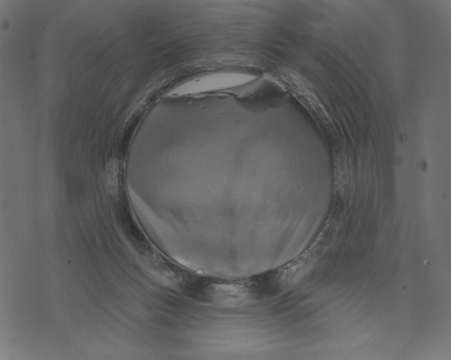 X0000072940167200608181350