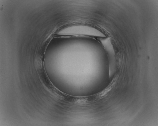 X0000072940168200608181350