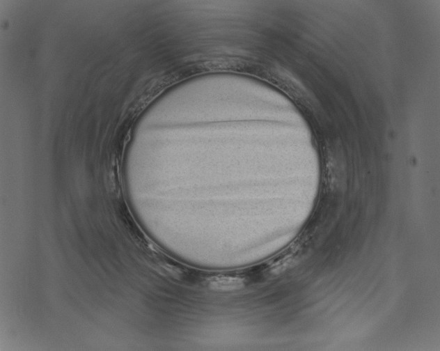 X0000072940169200608181350