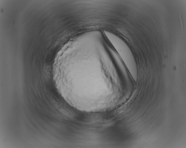 X0000072940171200608181350