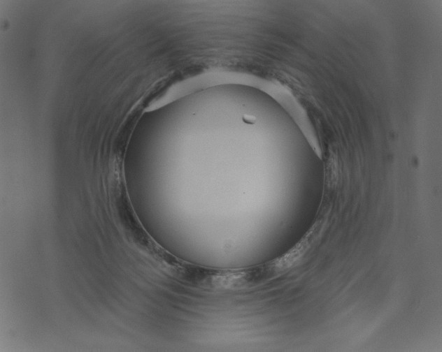 X0000072940172200608181350