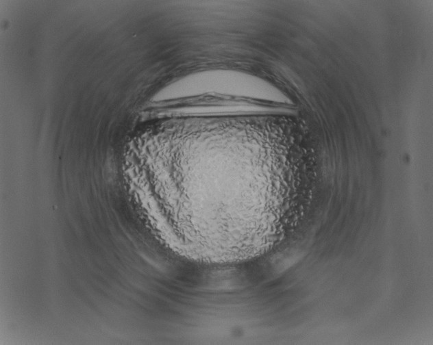 X0000072940173200608181350