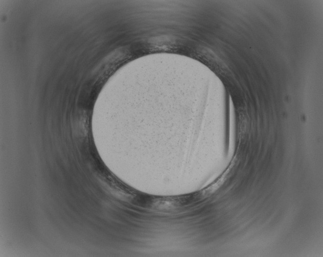 X0000072940174200608181350