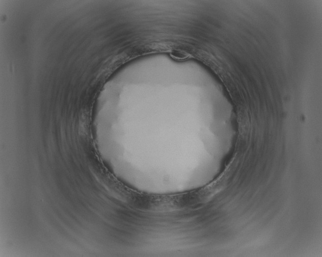 X0000072940175200608181350