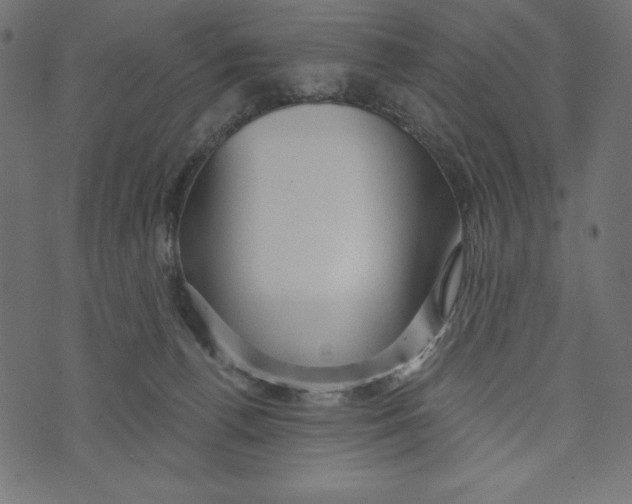 X0000072940176200608181350