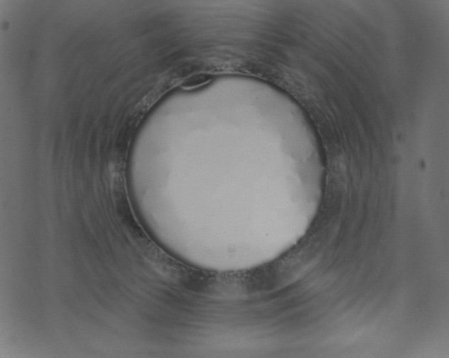 X0000072940177200608181350