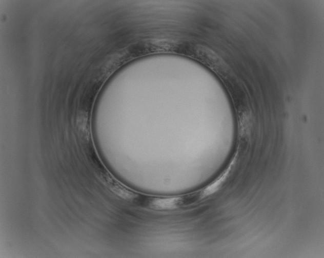 X0000072940178200608181350