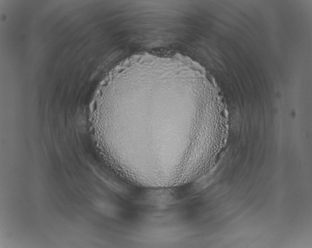 X0000072940179200608181350