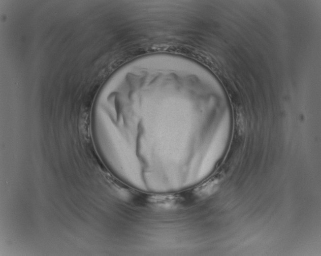 X0000072940181200608181350