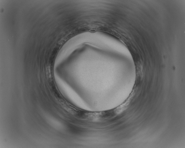 X0000072940182200608181350