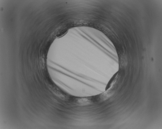 X0000072940183200608181350