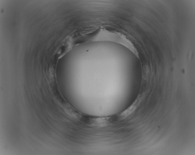 X0000072940184200608181350