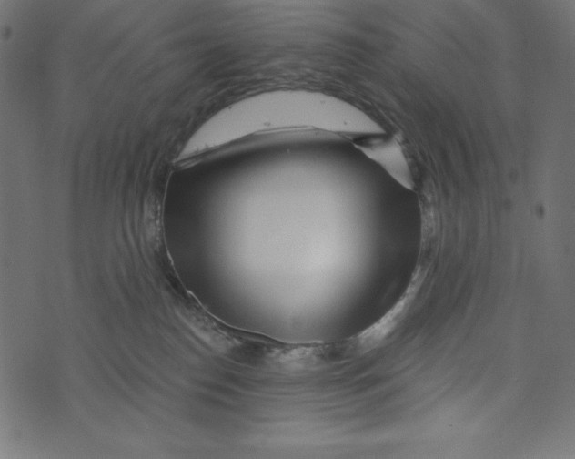 X0000072940186200608181350