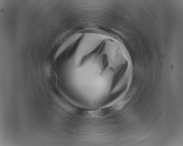 X0000072940188200608181350