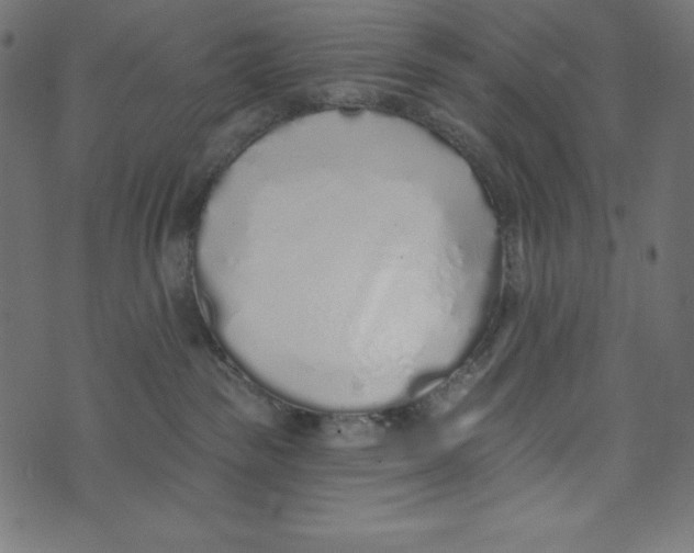 X0000072940189200608181350