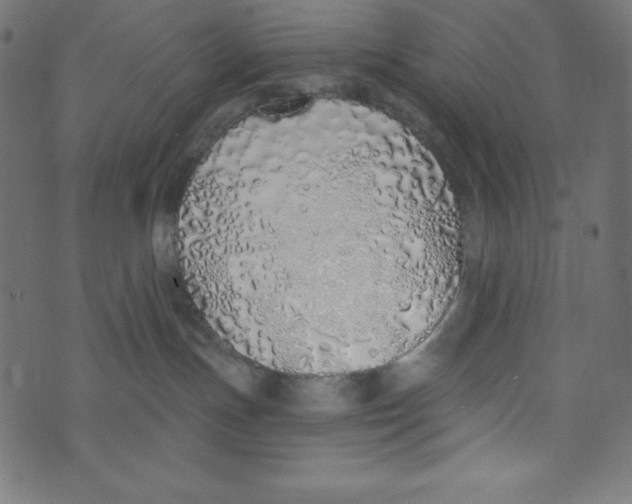 X0000072940191200608181350