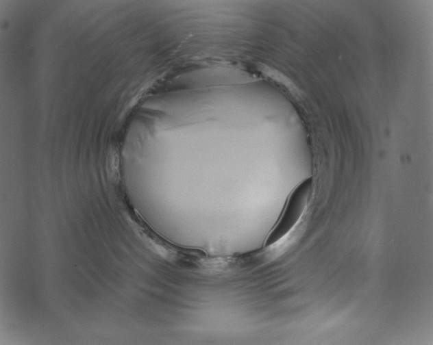 X0000072940192200608181350