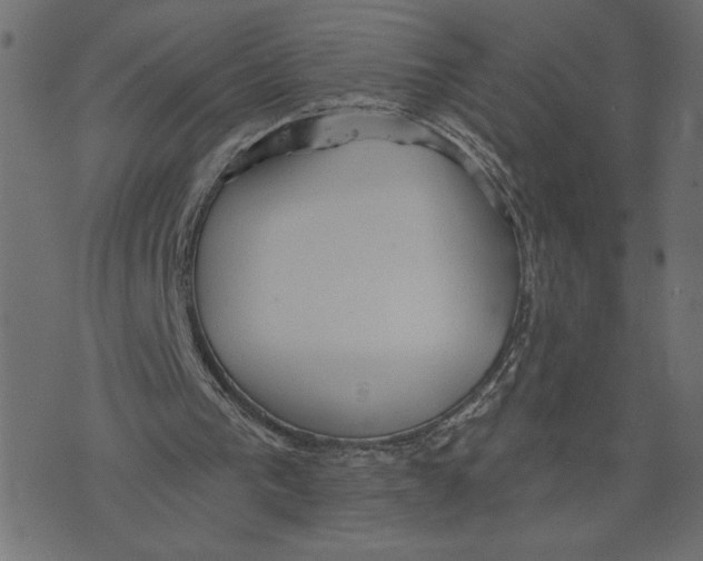 X0000072940193200608181349