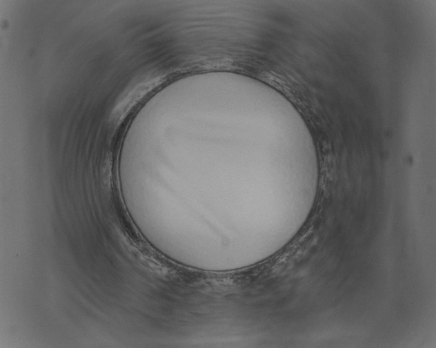 X0000072940194200608181349