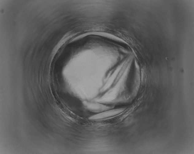 X0000072940195200608181349