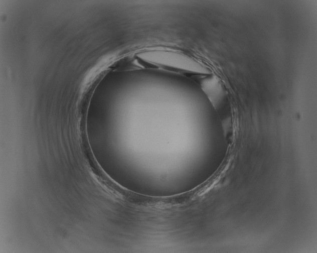 X0000072940197200608181349