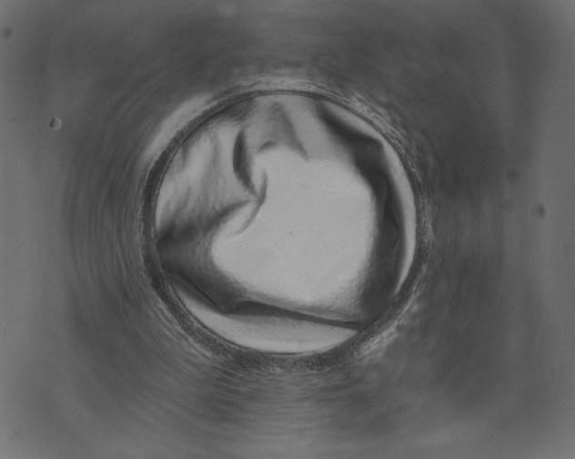 X0000072940199200608181349