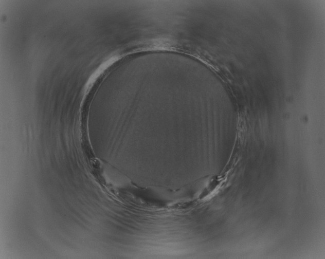 X0000072940200200608181349