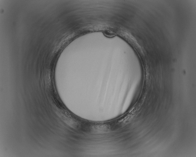 X0000072940202200608181349