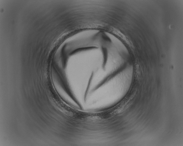 X0000072940203200608181349