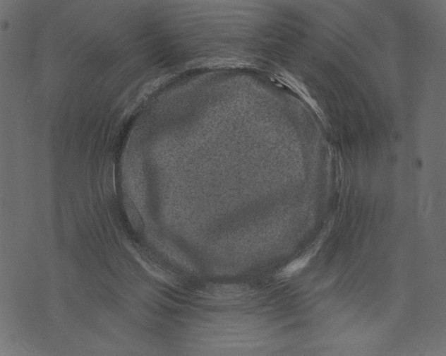 X0000072940205200608181349