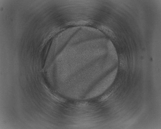 X0000072940206200608181349