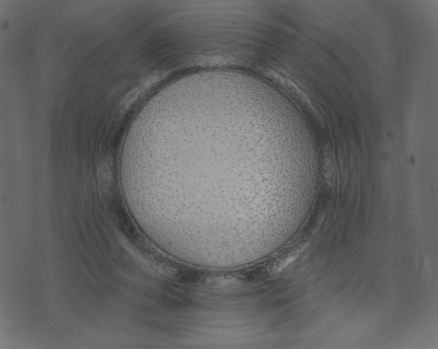 X0000072940208200608181349