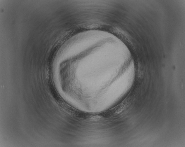 X0000072940210200608181349