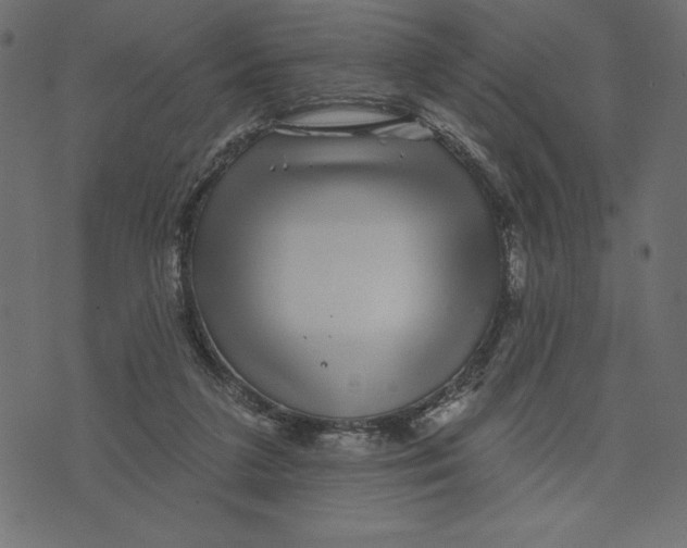 X0000072940211200608181349