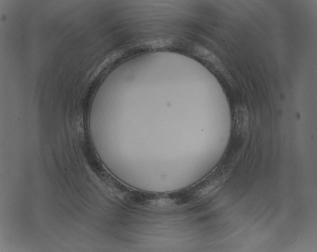 X0000072940212200608181349