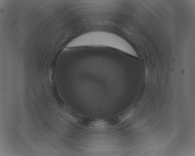 X0000072940219200608181349