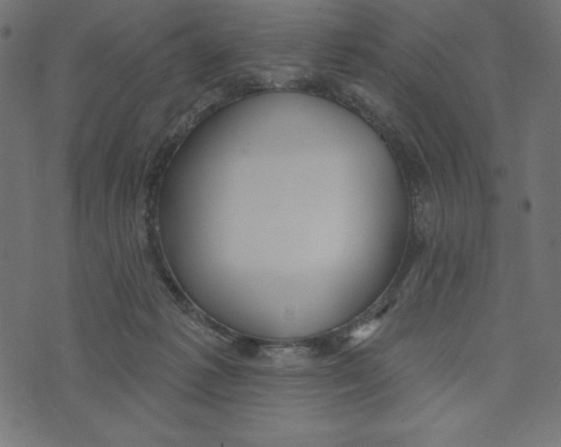 X0000072940221200608181349