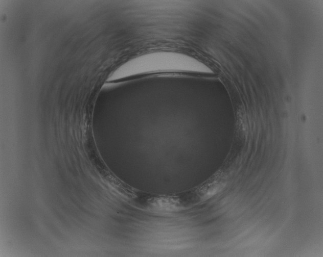 X0000072940223200608181349