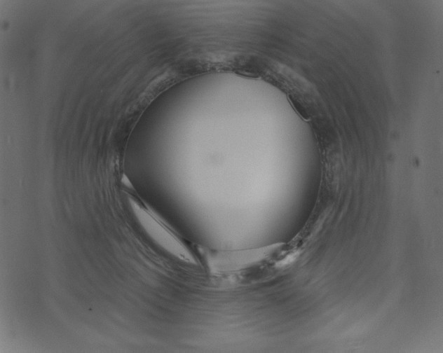 X0000072940225200608181349