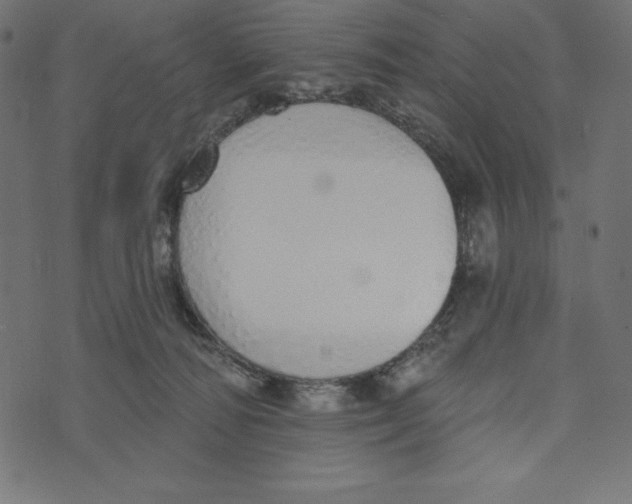 X0000072940226200608181349