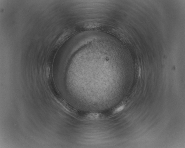 X0000072940227200608181349