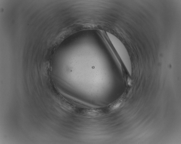 X0000072940229200608181349