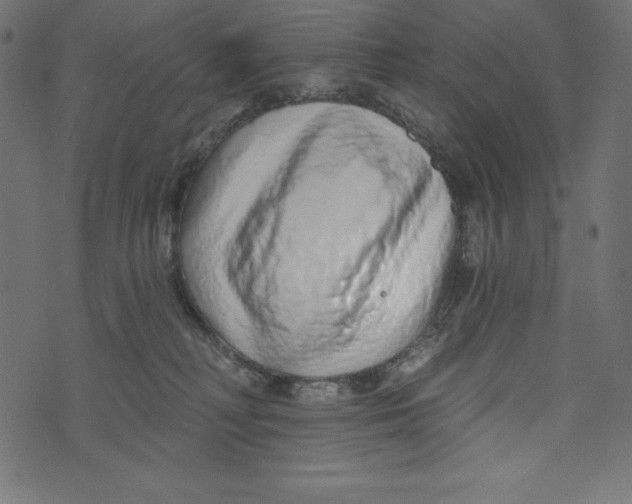 X0000072940230200608181349