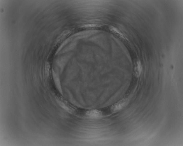 X0000072940231200608181349